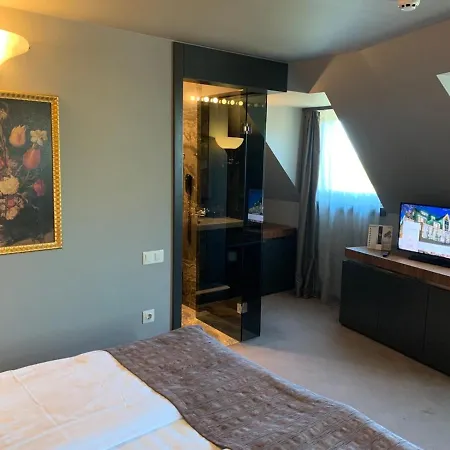 All Seasons Residence Design Hotel - Free Parking 5* 소피아